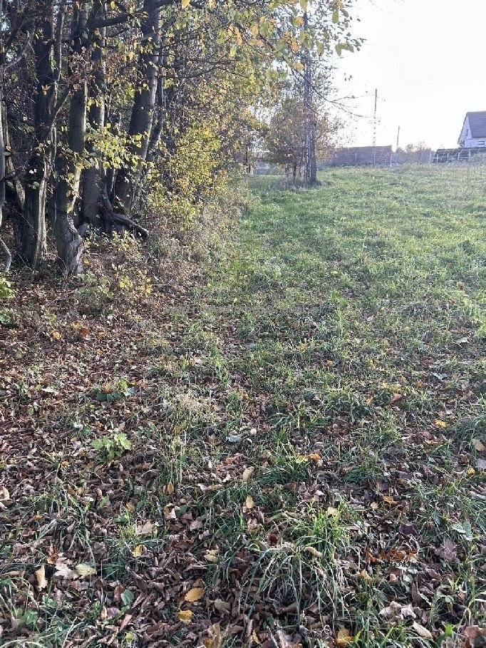 Działka budowlana na sprzedaż Barwałd Górny  5 000m2 Foto 1