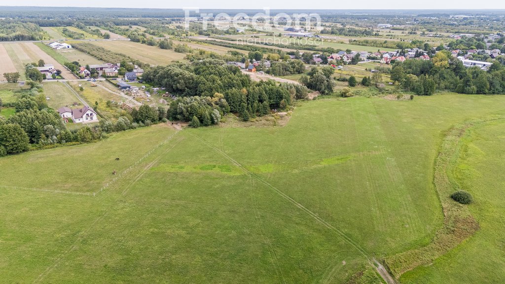 Działka rolna na sprzedaż Ostrówiec  5 600m2 Foto 4