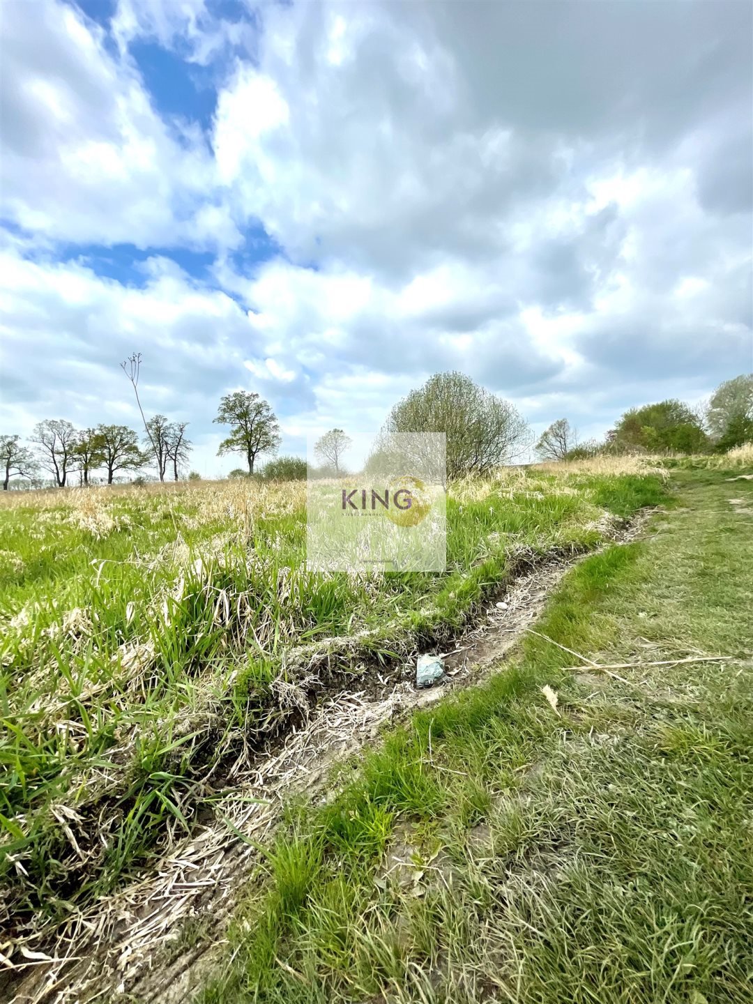 Działka rolna 52 223 m² z dostępem do jeziora i Kanału Płońskiego Lubiatowo  52 223m2 Foto 1