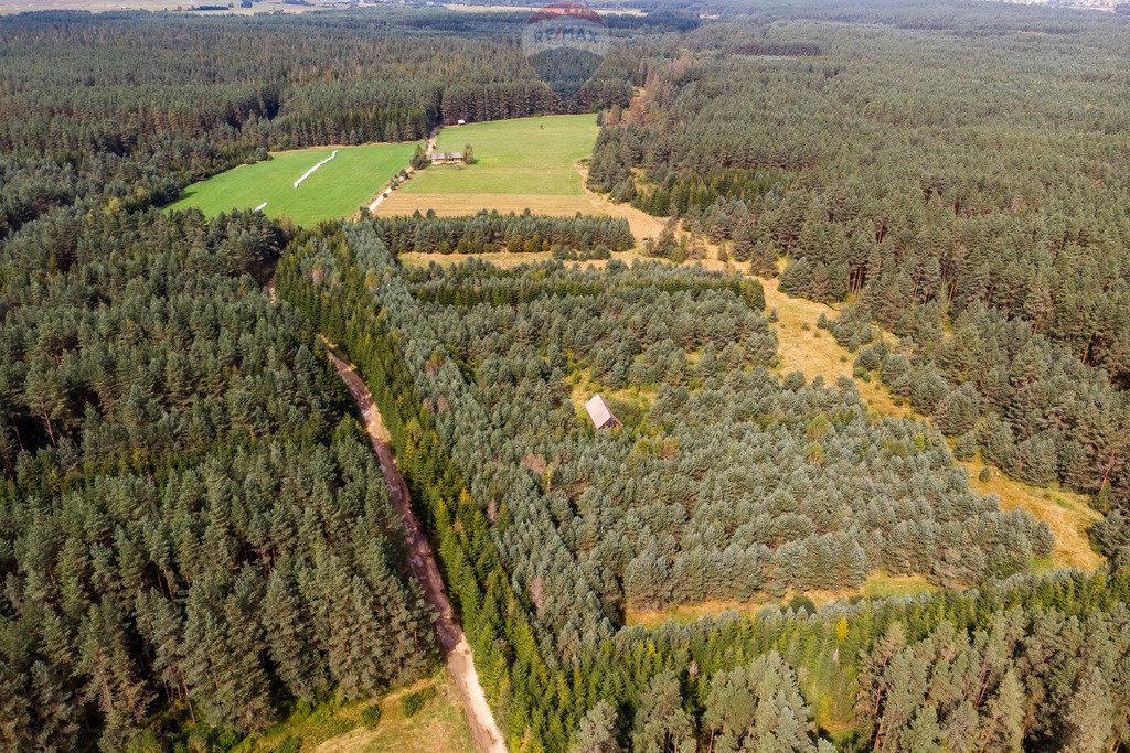 Działka rolna na sprzedaż Jabłonka, Leśna  20 000m2 Foto 16