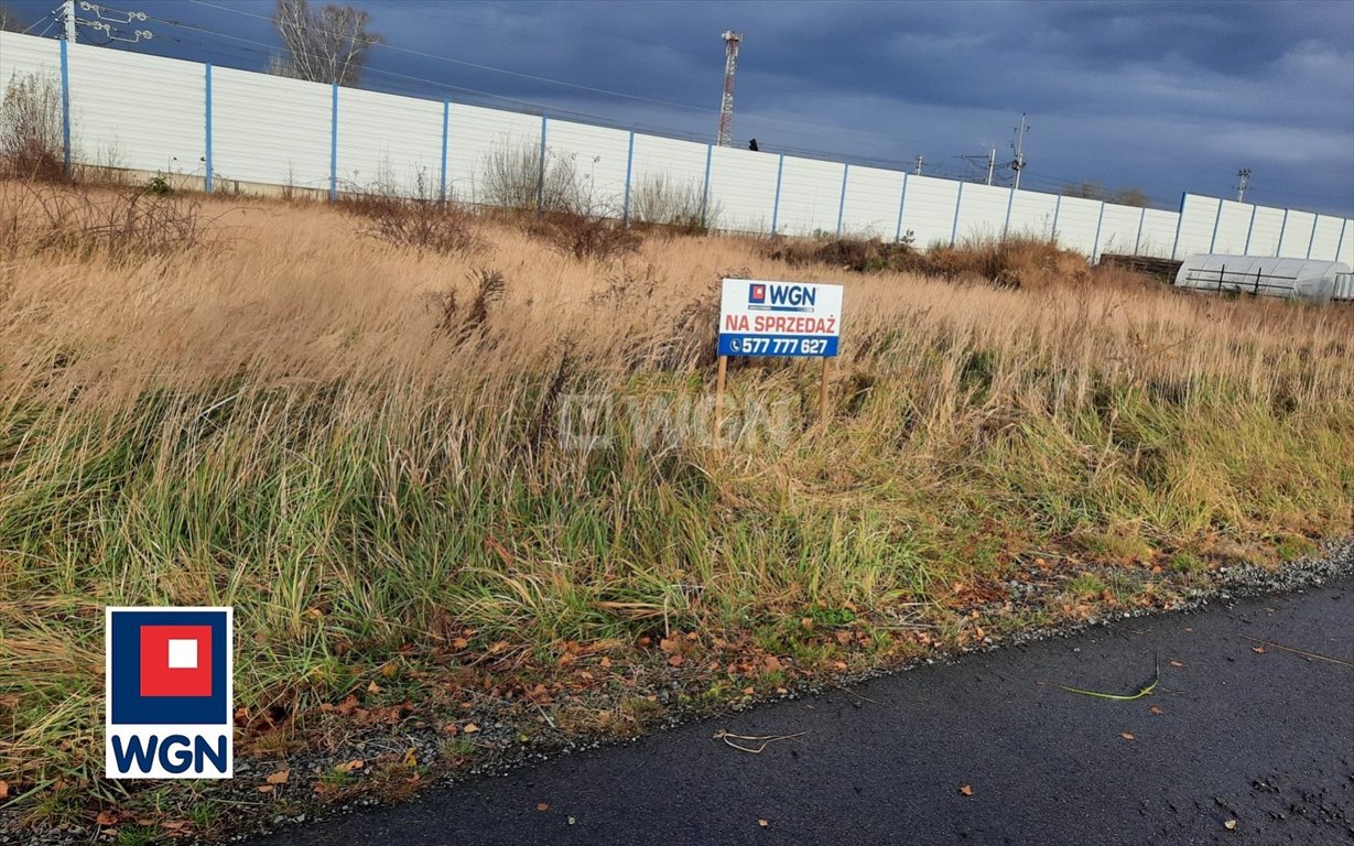 Działka komercyjna na sprzedaż Zebrzydowa, Zebrzydowa  15 200m2 Foto 4