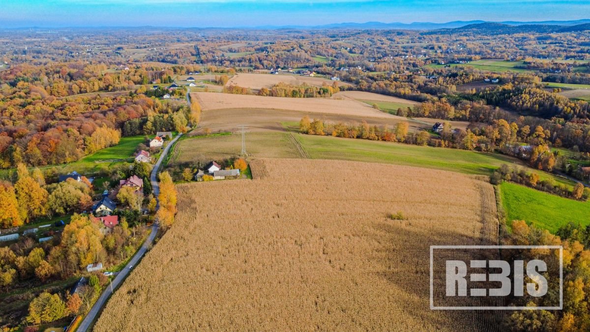 Działka gospodarstwo rolne na sprzedaż Tłuczań  4 200m2 Foto 1