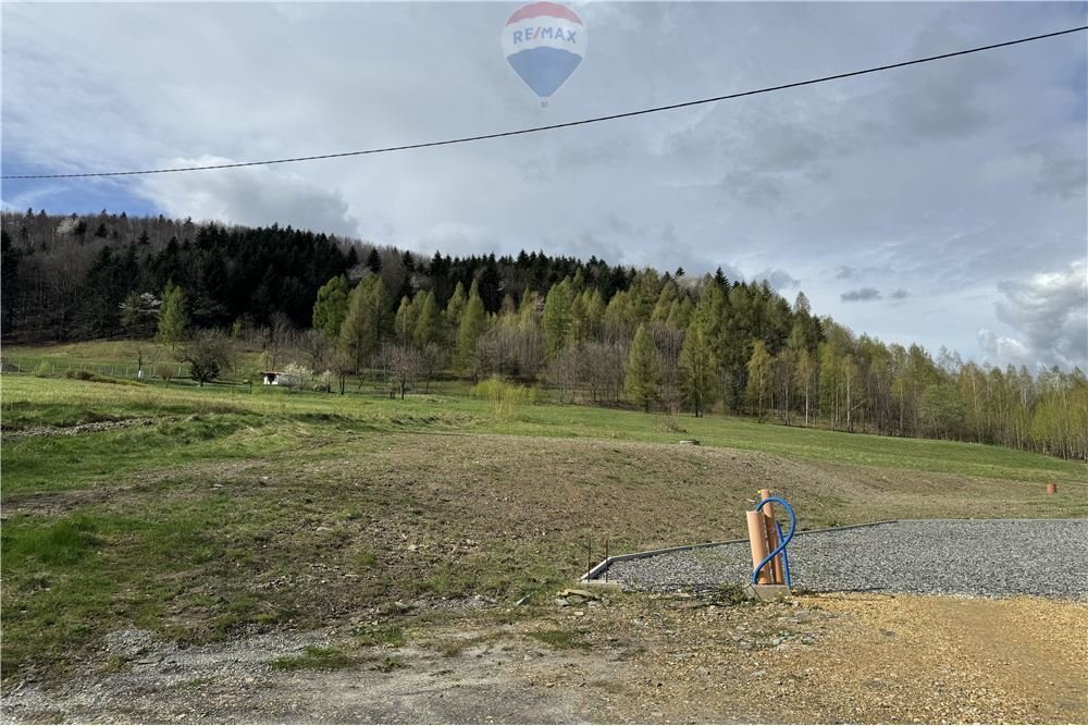 Działka leśna na sprzedaż Roczyny  850m2 Foto 13