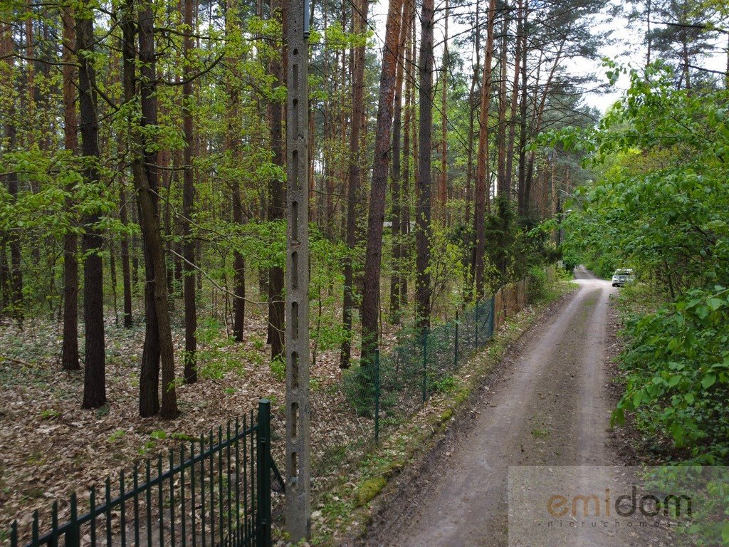 Działka leśna na sprzedaż Siestrzeń  3 000m2 Foto 2