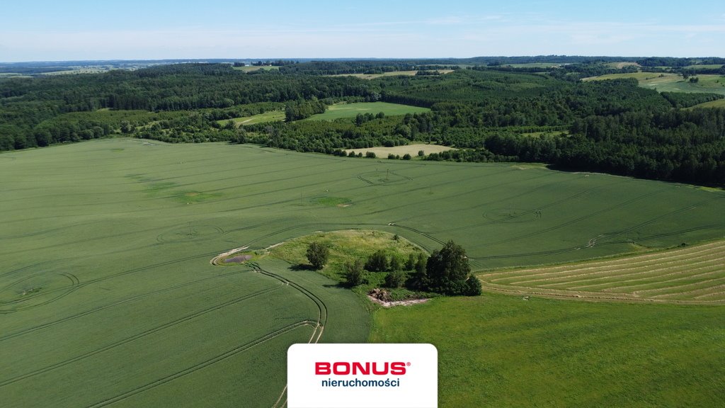Działka 5858 m2 z decyzją WZ pod dom w Wysokiej Dąbrowie Wysoka Dąbrowa  5 858m2 Foto 1