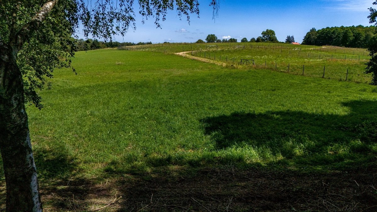 Działka budowlana na sprzedaż Bogacko, Bogacko  3 870m2 Foto 11