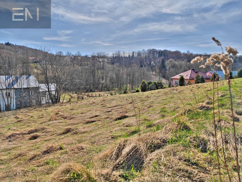 Działka 2,5 ha z możliwością zabudowy i dostępem do drogi Wesoła  2 500m2 Foto 1