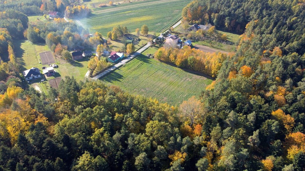 Działka budowlana na sprzedaż Cierpisz  1 670m2 Foto 6