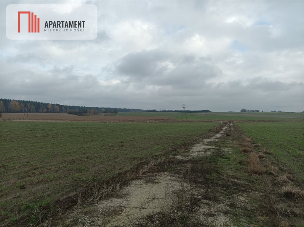 Działka budowlana na sprzedaż Krążkowo  3 500m2 Foto 2