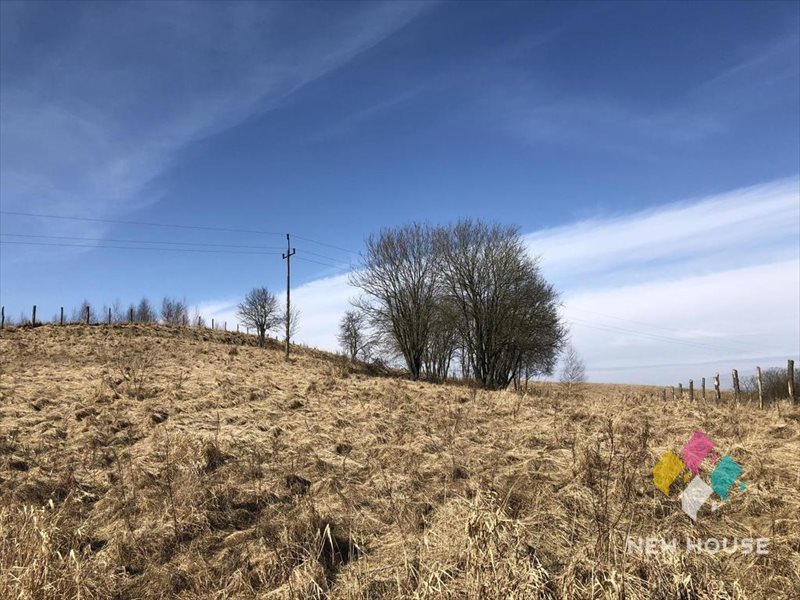 Działka rolna na sprzedaż Biskupiec 5 224m2 Foto 1 Działka rolna na sprzedaż Biskupiec 5 224m2 Foto 1