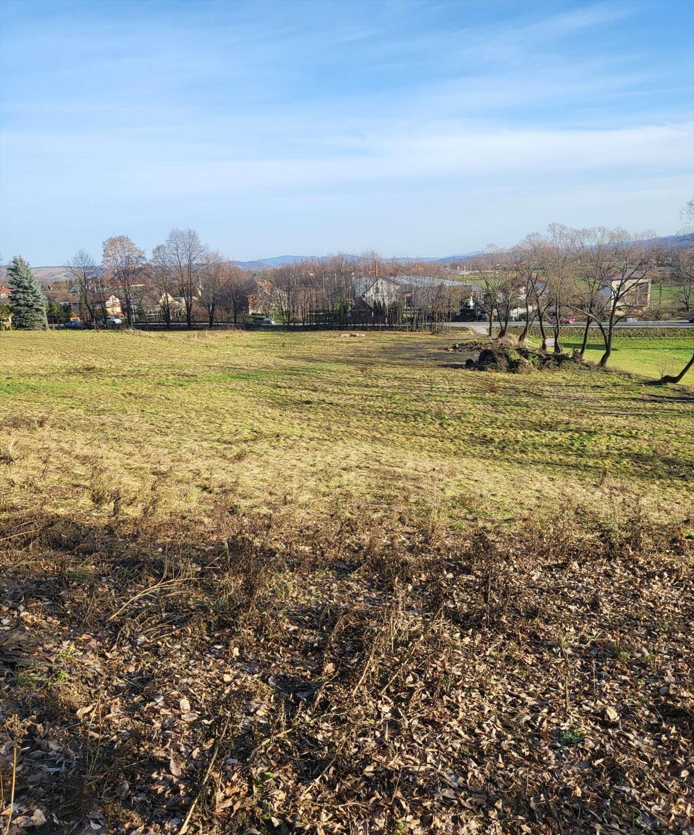 Działka budowlana na sprzedaż Jurków  21 000m2 Foto 11