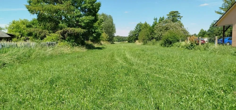 Działka budowlana na sprzedaż Baczki  10 500m2 Foto 4