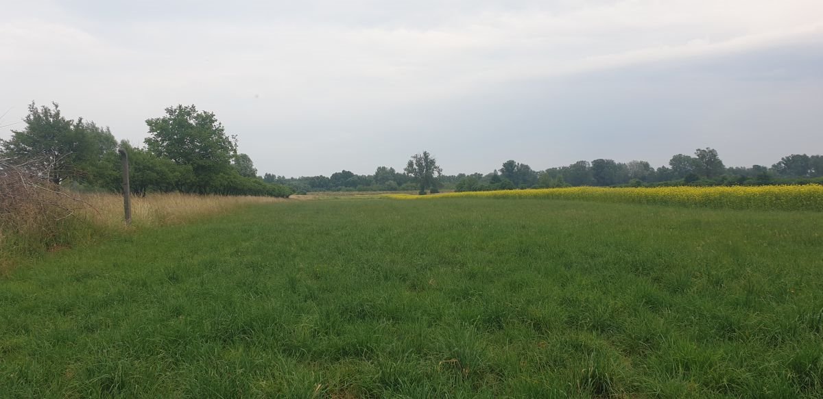 Do sprzedania działka 2,07 ha pod zabudowę i rolnictwo w Cząstkowie Cząstków Mazowiecki, Cząstków mazowiecki  20 723m2 Foto 1