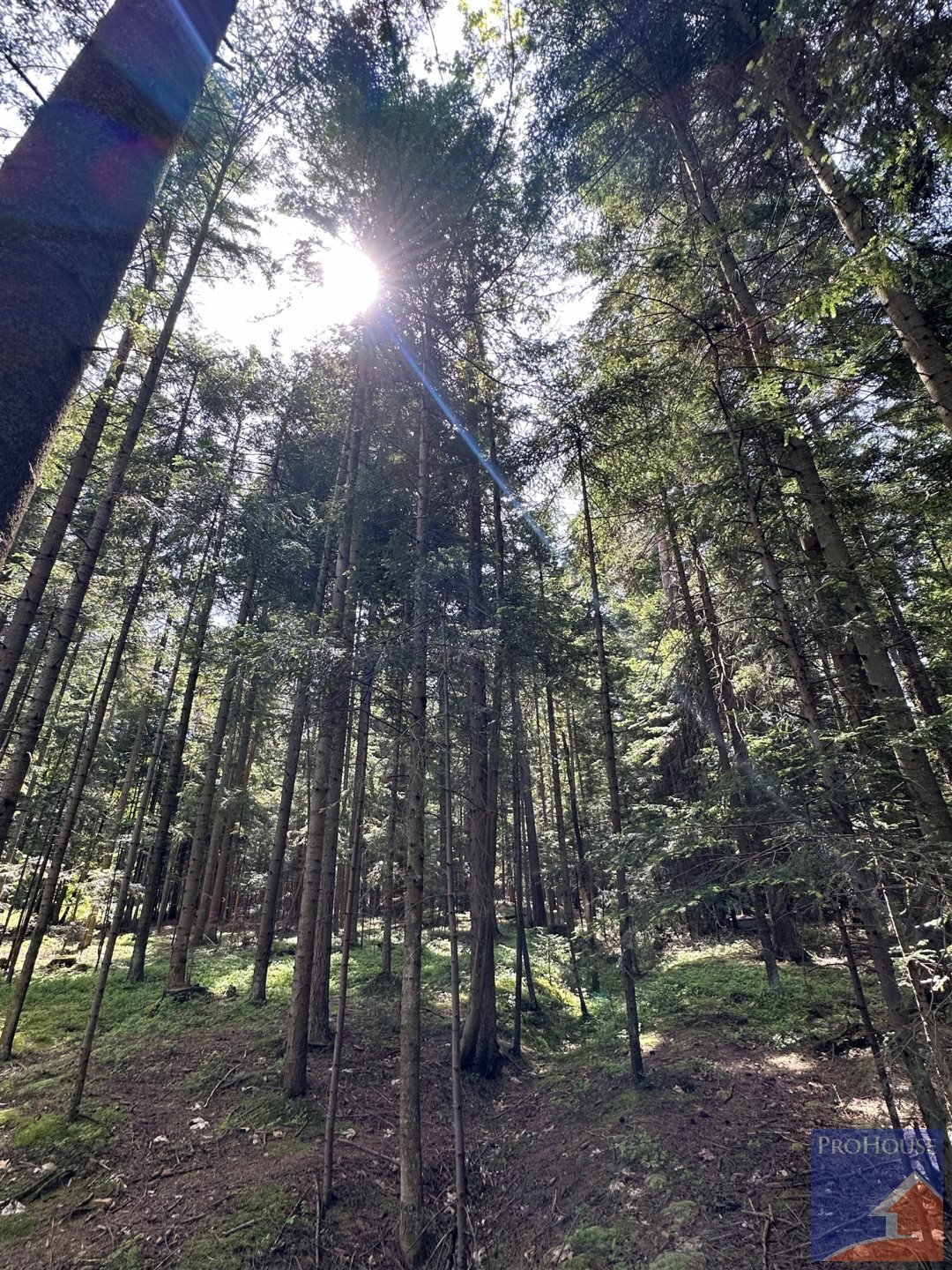 Działka leśna na sprzedaż Podłopień  5 200m2 Foto 18