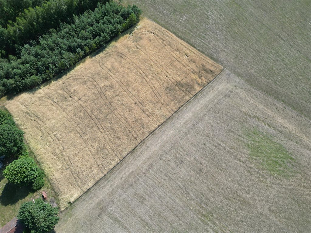 Działka budowlana na sprzedaż Jerominy  3 705m2 Foto 4