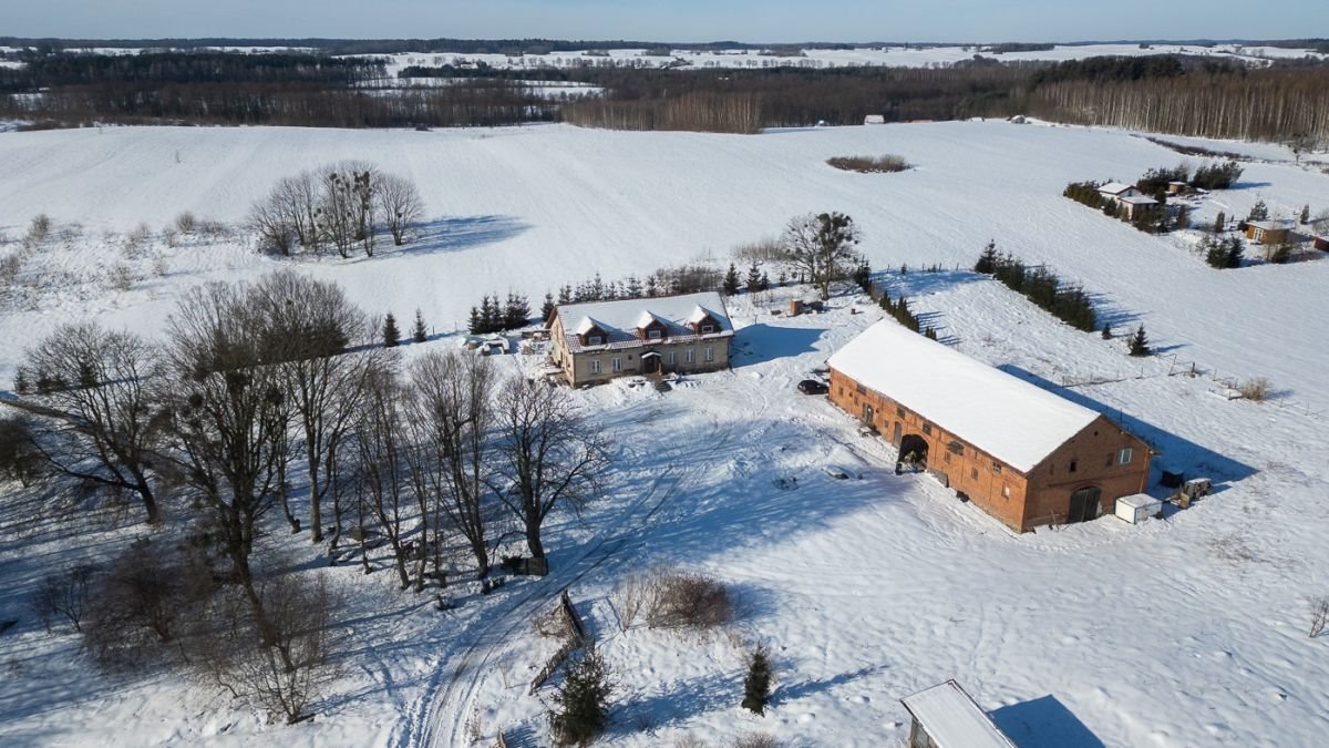 Siedlisko z domem 206 m2 na 1,17 ha w Skolitach Skolity  206m2 Foto 1