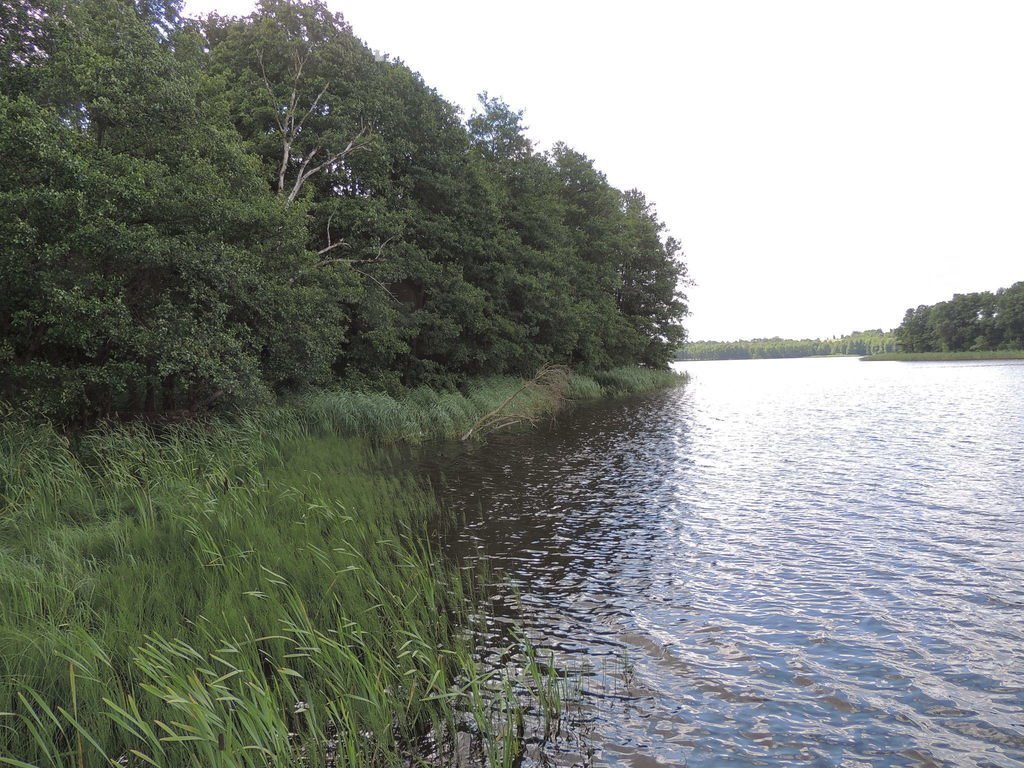 Działka inna na sprzedaż Bitkowo  3 352m2 Foto 8