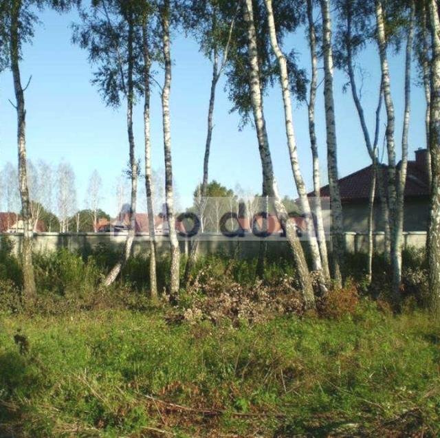 Sprzedam działkę 800 m² z warunkami zabudowy w Wołominie Wołomin  800m2 Foto 1
