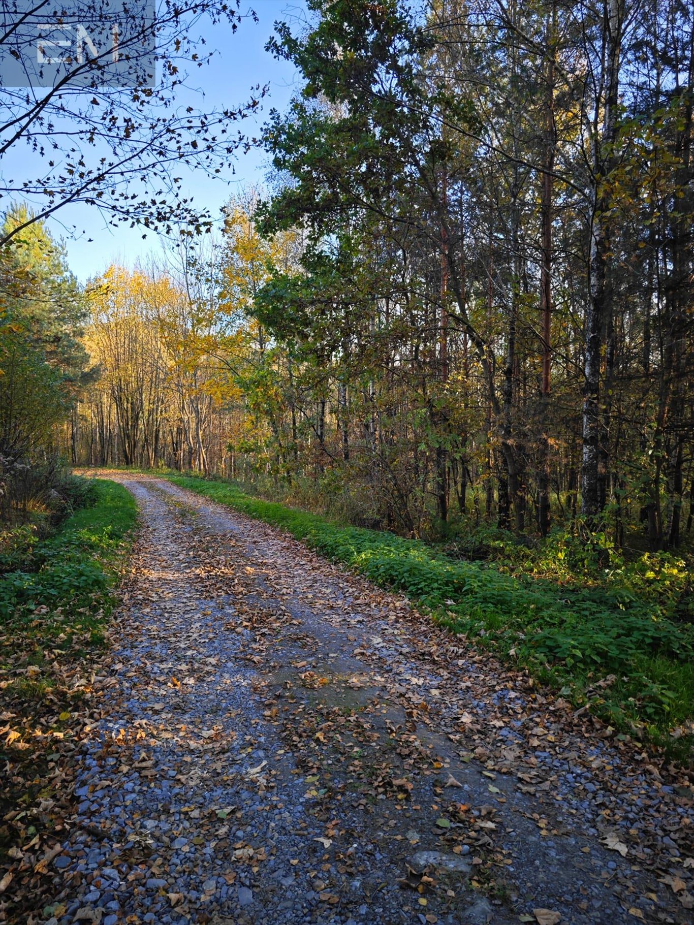 Działka budowlana na sprzedaż Wysoka Strzyżowska  2 700m2 Foto 6