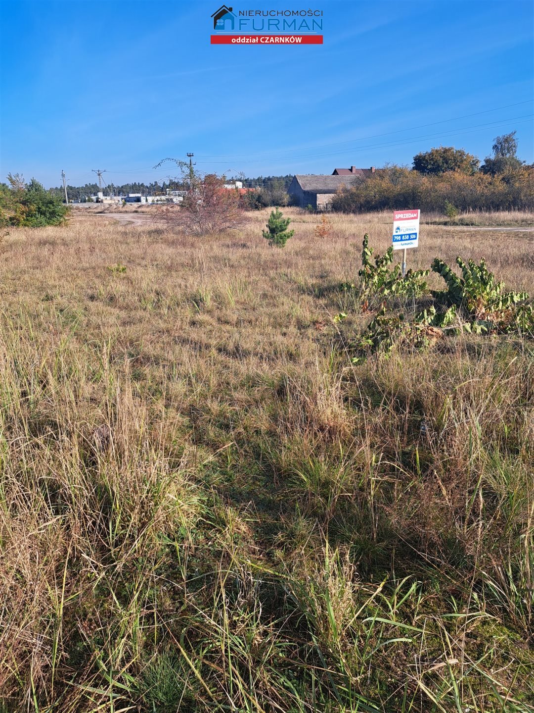 Działka budowlana na sprzedaż Wieleń  2 650m2 Foto 5