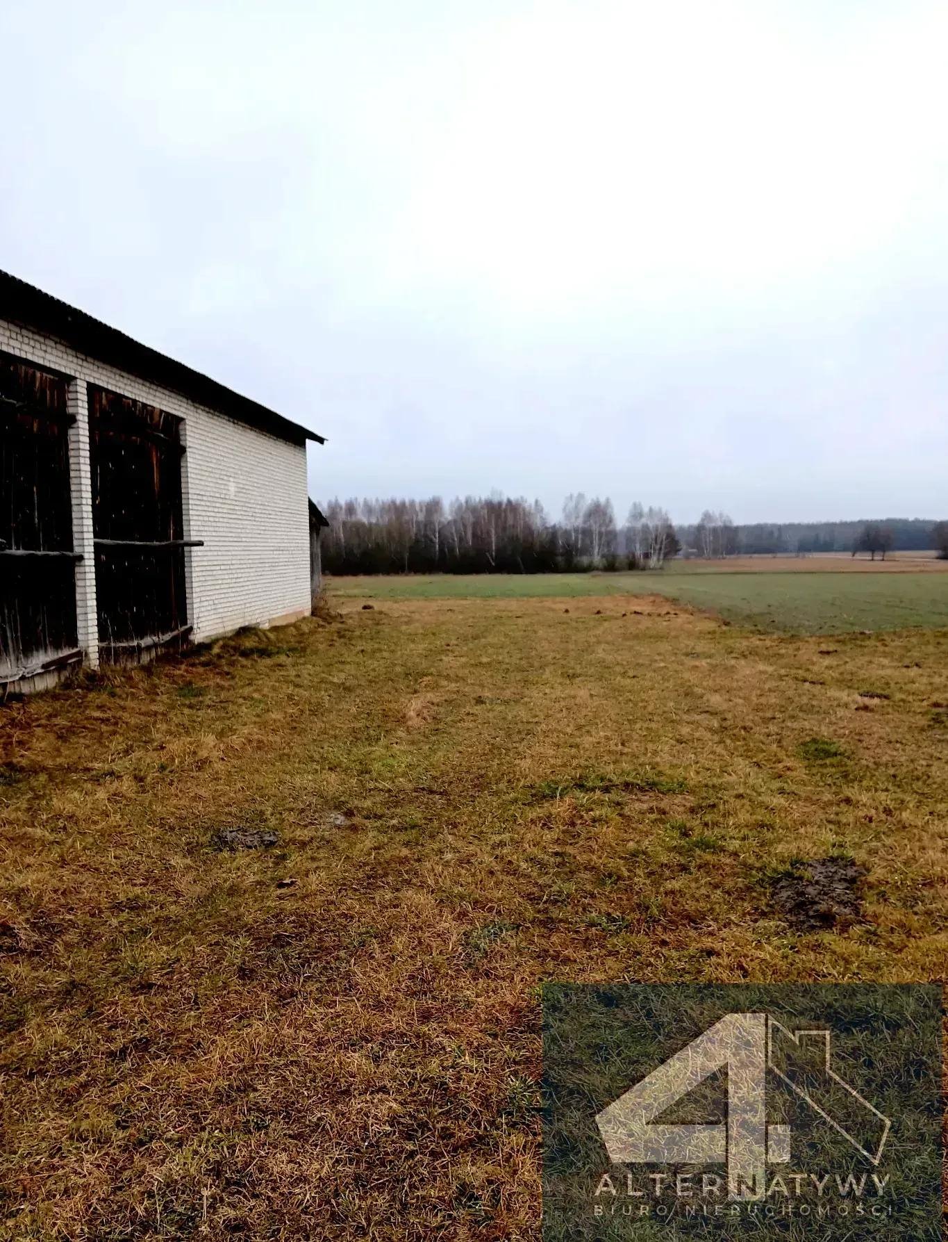 Działka rolna na sprzedaż Włodzimierz, Włodzimierz 11  90 000m2 Foto 2