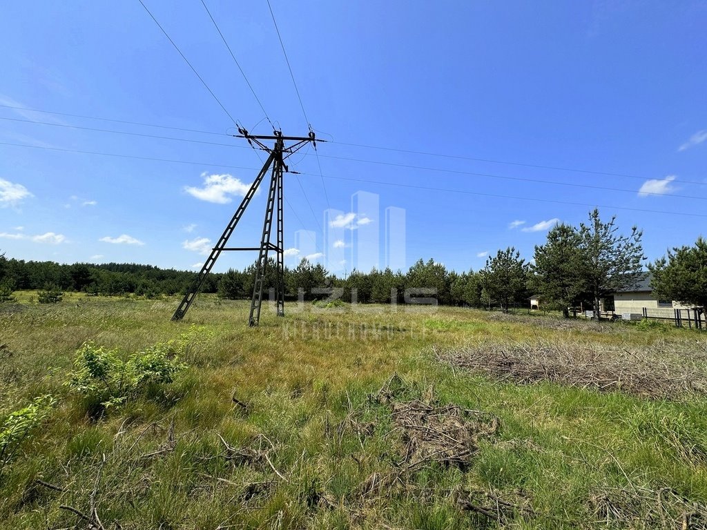 Działka budowlana na sprzedaż Cieciorka, Porzeczkowa  2 604m2 Foto 20