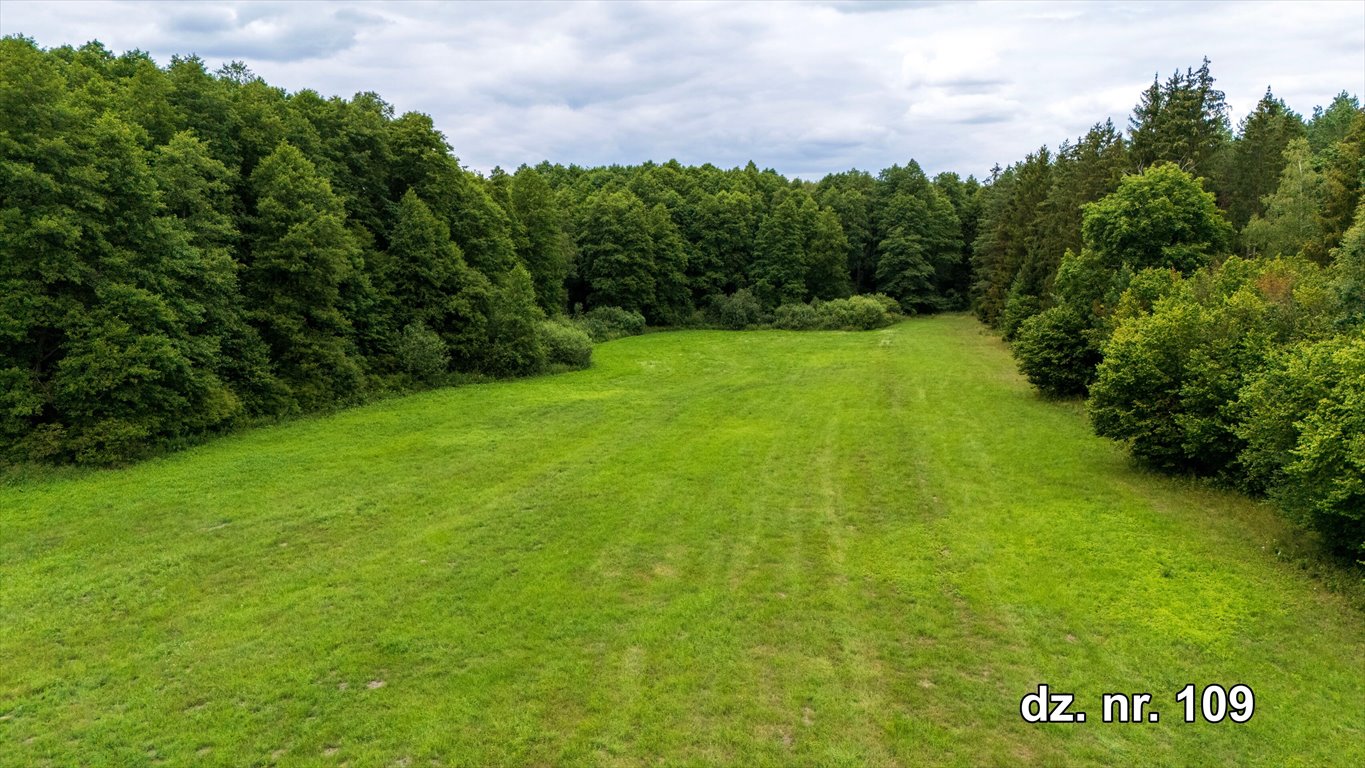 Działka rolna na sprzedaż Rekownica  120 300m2 Foto 11