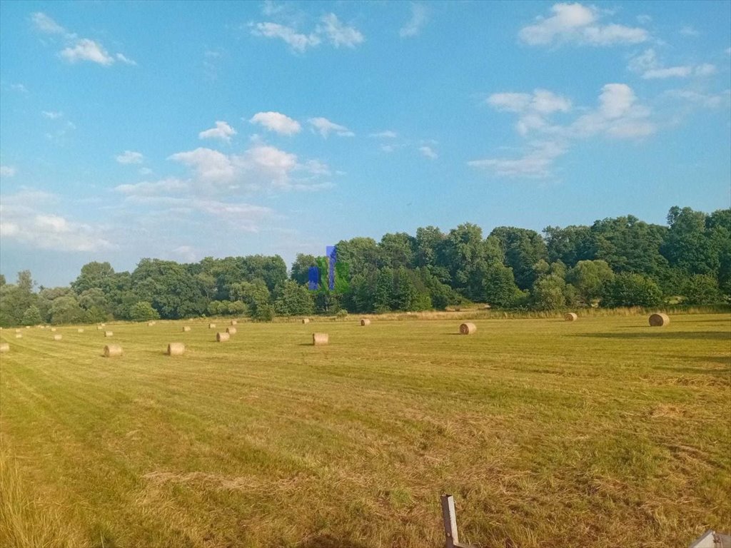 Działka rolna na sprzedaż Sadowice  7 400m2 Foto 4