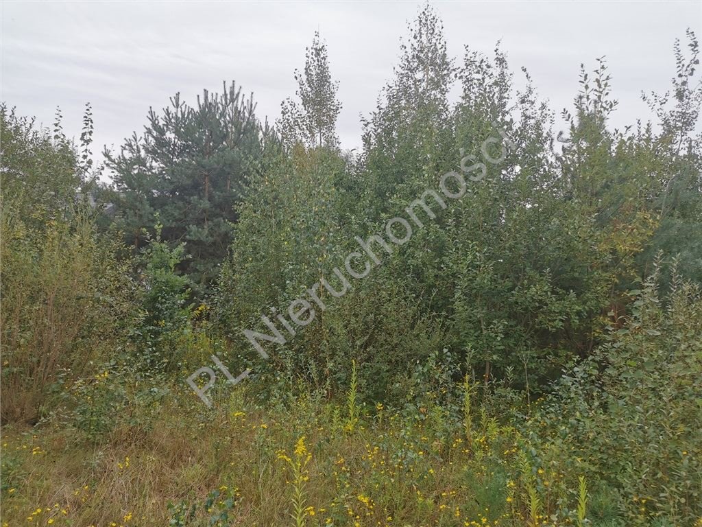 Działka budowlana na sprzedaż Odrano-Wola  1 550m2 Foto 3