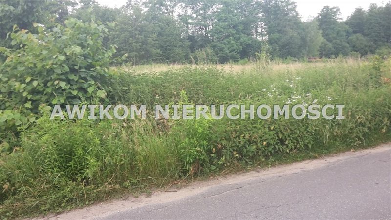 Działka budowlana na sprzedaż Radziejowice, Adamów-Wieś  2 100m2 Foto 1