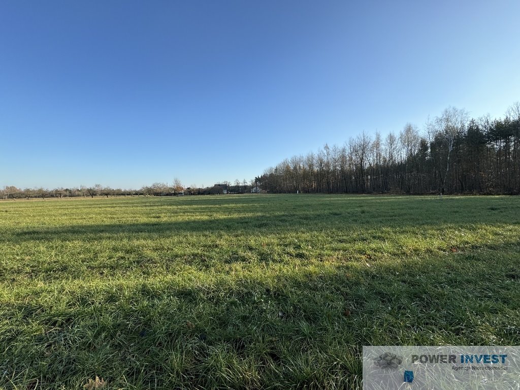 Działka budowlana na sprzedaż Powązki  19 500m2 Foto 7