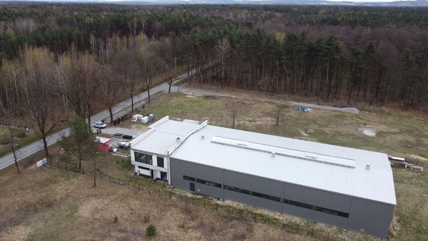 Lokal użytkowy na sprzedaż Dąbrówka  1 173m2 Foto 11