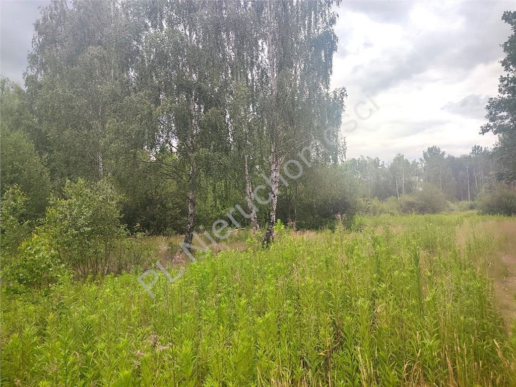 Działka leśno-budowlana 3 210 m² w Budy Michałowskie zapraszam Budy Michałowskie  3 210m2 Foto 1