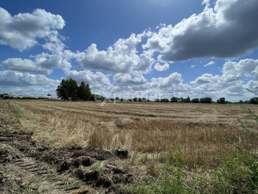 Działka rolna na sprzedaż Kalisz, Rajsków  4 180m2 Foto 1