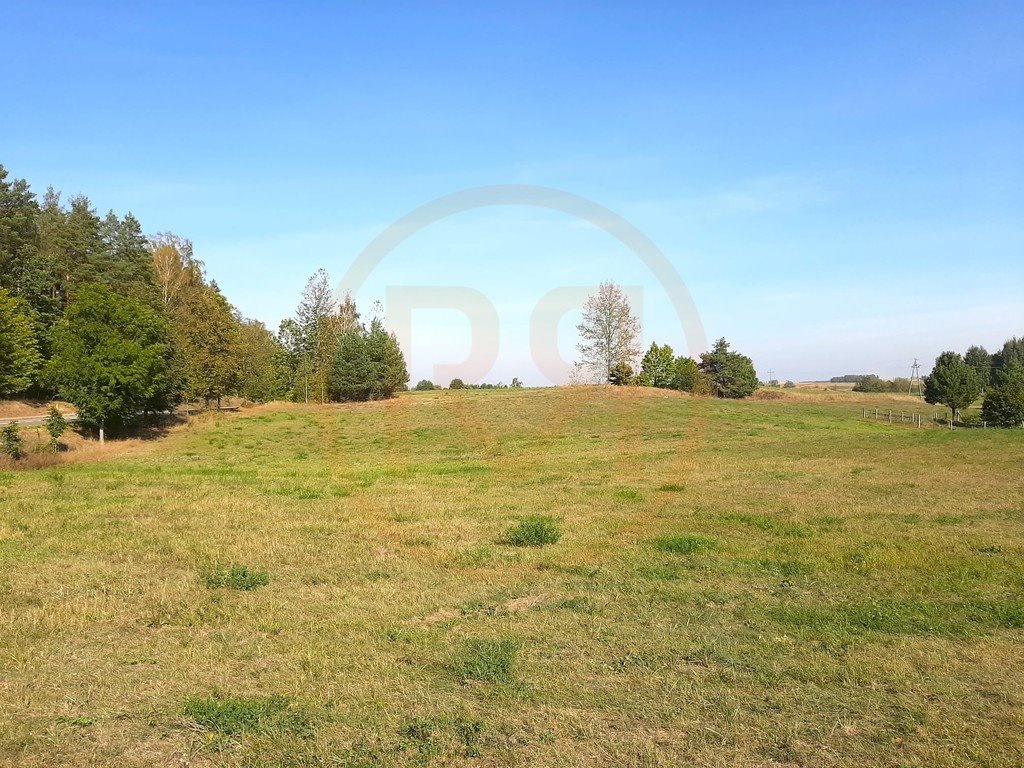 Działka rolna na sprzedaż Królowa Wola  2 800m2 Foto 5