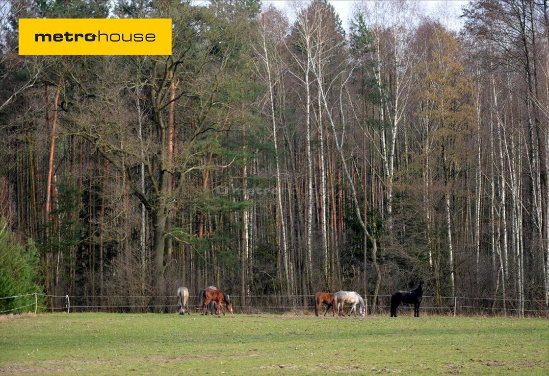 Działka inna na sprzedaż Leonów  8 470m2 Foto 1