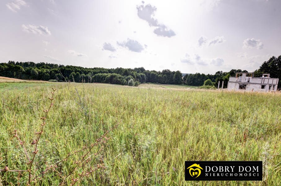 Działka rolna na sprzedaż Malinówka  9 300m2 Foto 6