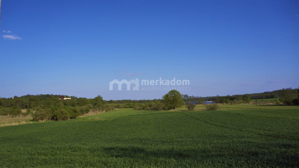 Działka siedliskowa na sprzedaż Potrzanowo 19 400m2 Foto 1 Działka siedliskowa na sprzedaż Potrzanowo 19 400m2 Foto 1