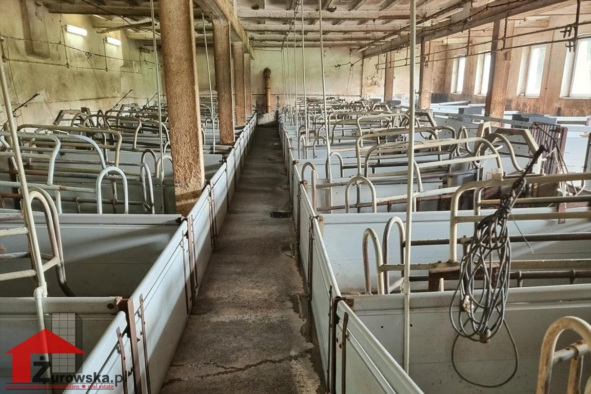 Lokal użytkowy na sprzedaż Wronin  800m2 Foto 12