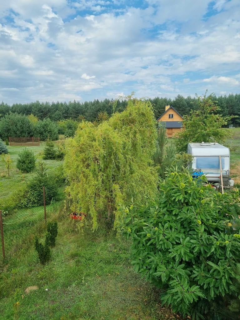 Działka rolna na sprzedaż Wólka Szczawińska  3 229m2 Foto 5