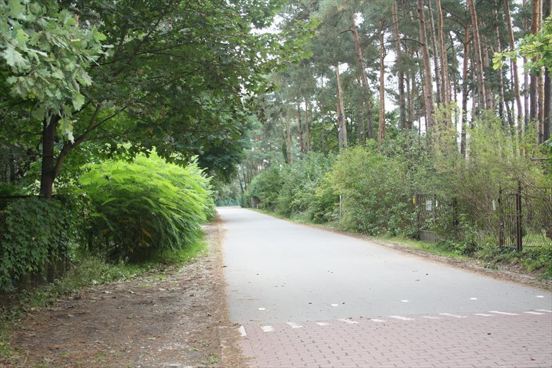 Działka leśna z prawem budowy na sprzedaż Zalesie Górne, Przebudzenia Wiosny 1 982m2 Foto 1 Działka leśna z prawem budowy na sprzedaż Zalesie Górne, Przebudzenia Wiosny 1 982m2 Foto 1