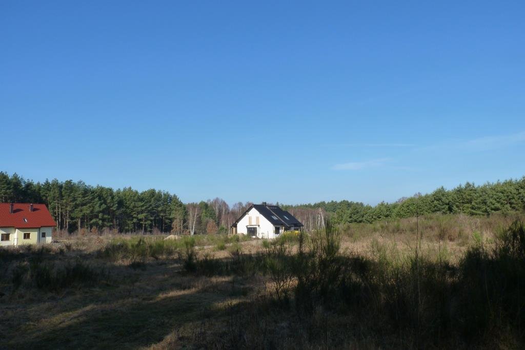 Działka budowlana na sprzedaż Obroty  1 200m2 Foto 5