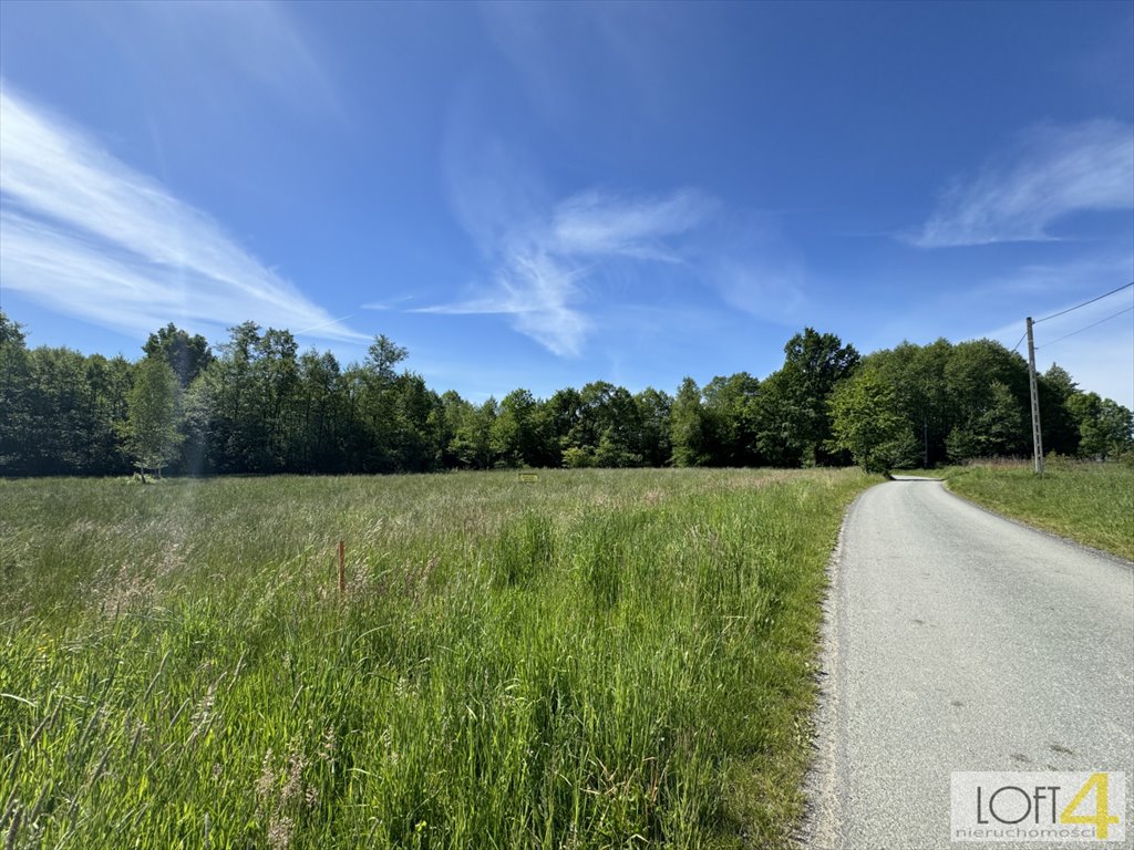 Działka budowlana na sprzedaż Bucze, Rudzka, Rudzka  1 709m2 Foto 10