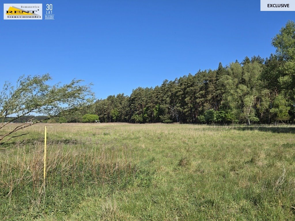 Działka 7600 m² z potencjałem, blisko lasu i autostrady polecam Szczecin  7 600m2 Foto 1