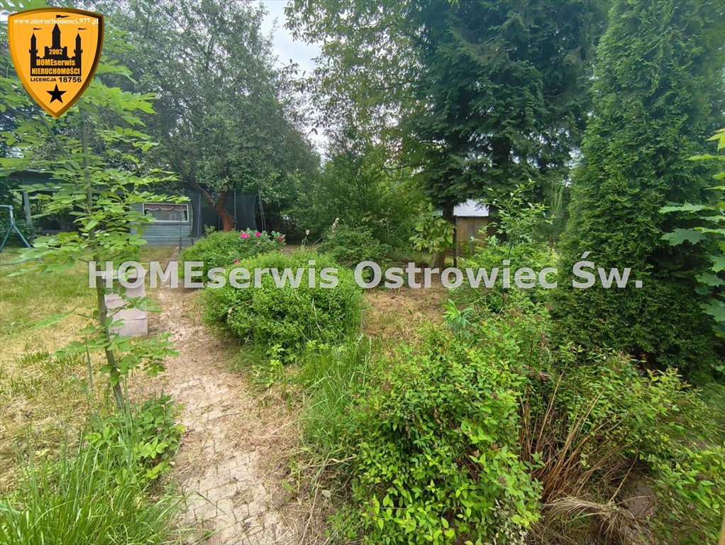 Działka ROD z altaną, drzewami i ogrodem w Ostrowcu Ostrowiec Świętokrzyski, Cukrownia  300m2 Foto 1