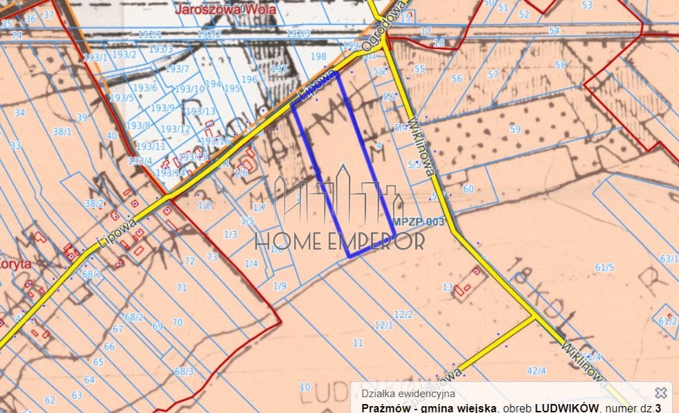 Działka budowlana na sprzedaż Ludwików, Lipowa  28 800m2 Foto 3