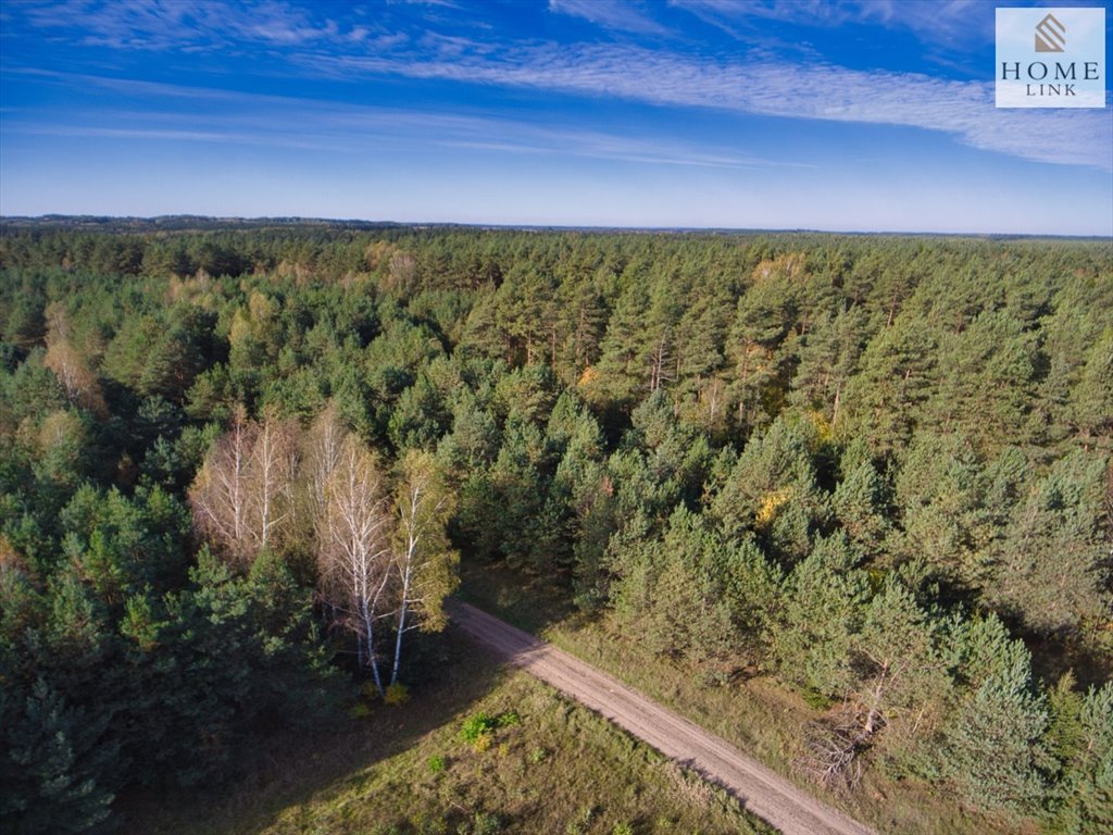 Działka budowlana na sprzedaż Maróz  2 858m2 Foto 18