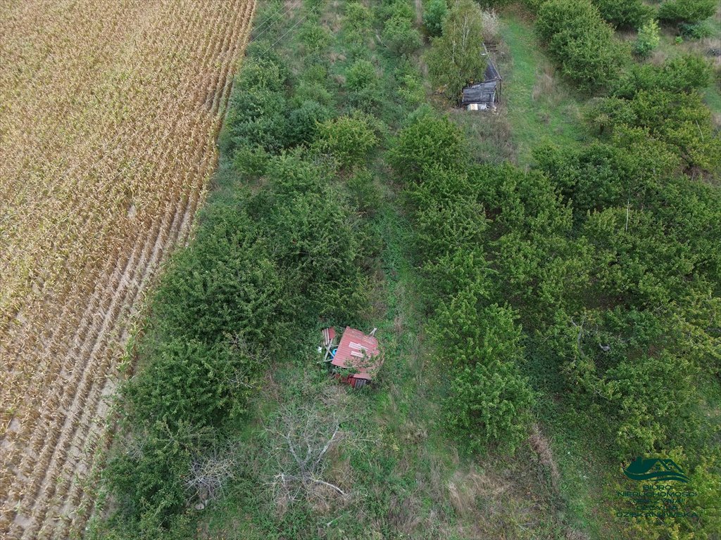 Działka rolna na sprzedaż Nieszawa  6 616m2 Foto 14