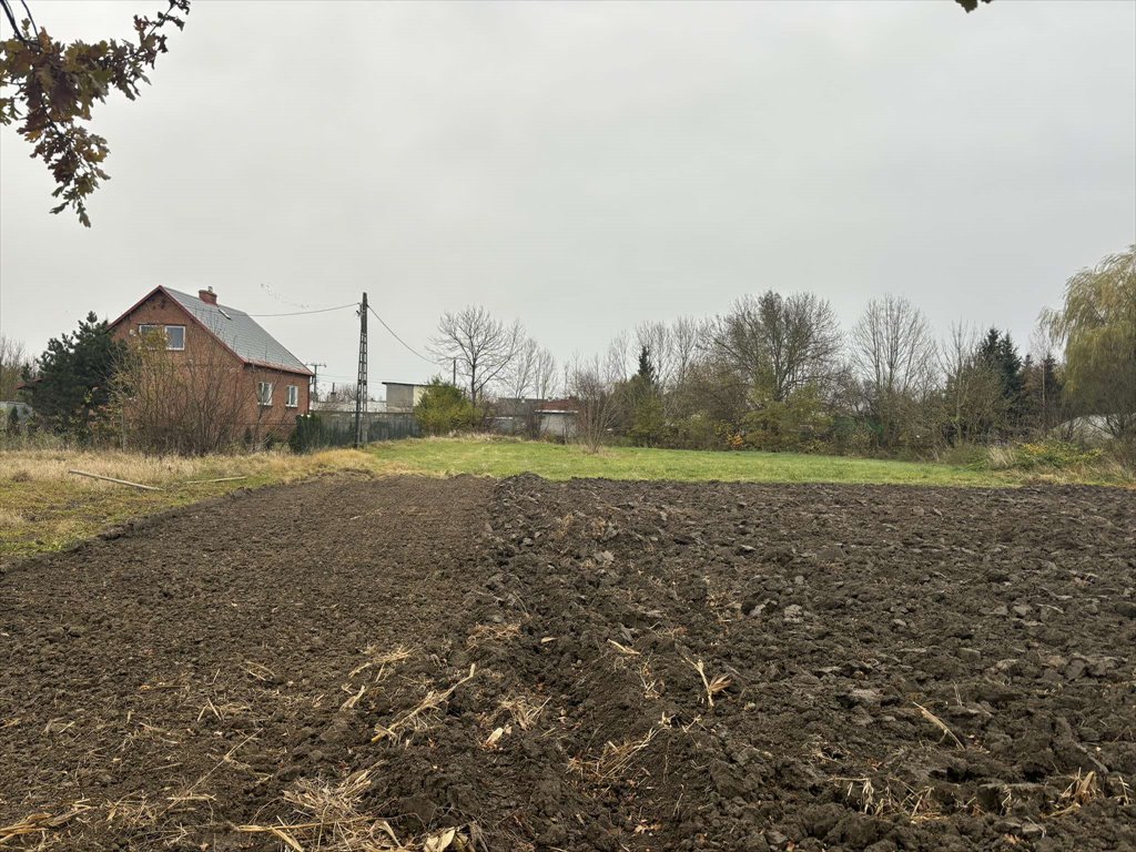 Działka budowlana na sprzedaż Malbork, Miłoradz  2 598m2 Foto 3