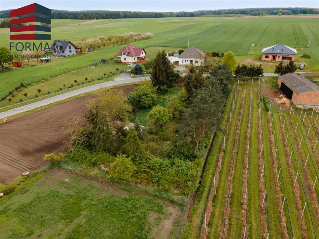 Działka budowlana na sprzedaż Mirosławki, Mirosławki, Długa  2 000m2 Foto 4